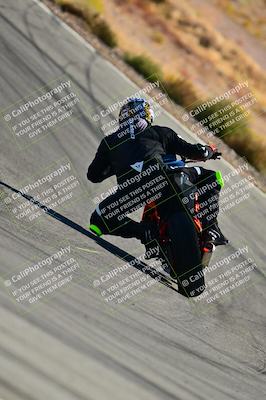 media/Oct-24-2025-2WTD (Fri) [[491f36c2bf]]/B Group/Session 3 (Turn 5)/